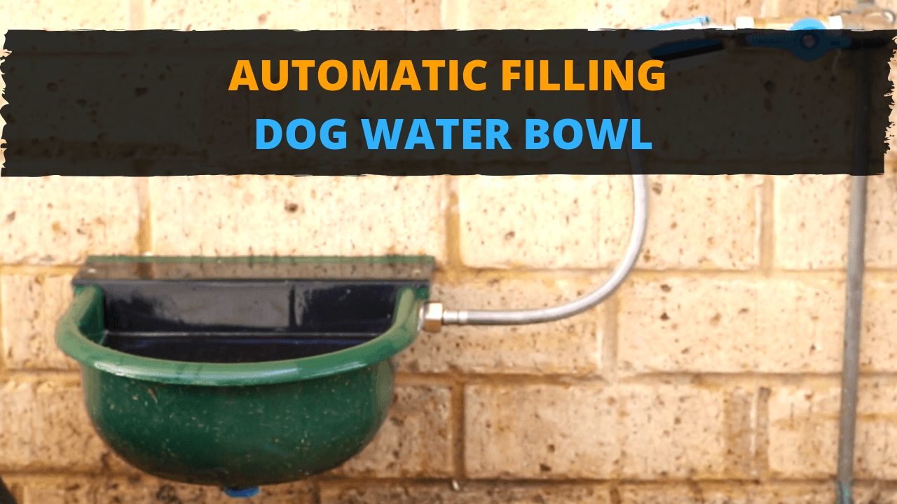 Automatic Filling Pet Water Bowl